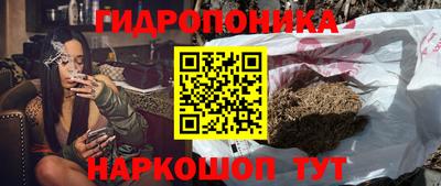 ECSTASY Будённовск