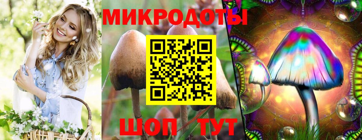 Псилоцибиновые грибы Magic Shrooms  Вход с VPN  что такое наркотик  Троицк  Галлюциногенные грибы Psilocybine cubensis 
